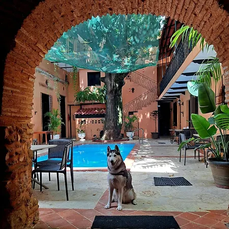 Mansion Colonial Boutique Hotel Pool Jacuzzi Bar Restaurant By Btc Group Crypto-2